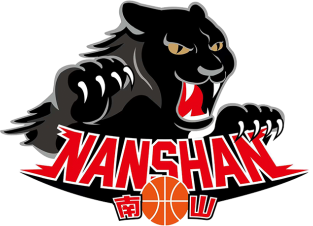 新北市南山高中隊